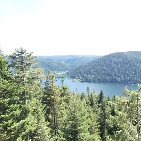 Villa Les 3 Chenes A 2 Pas De Gerardmer Et Des Lacs *