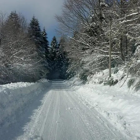 Les 3 Chenes A 2 Pas De Gerardmer Et Des Lacs