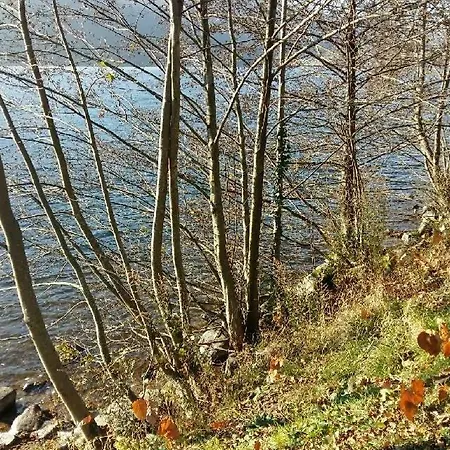 Les 3 Chenes A 2 Pas De Gerardmer Et Des Lacs Villa *