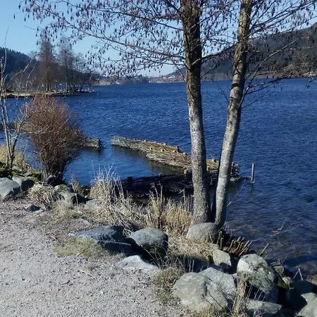 Villa Les 3 Chênes à 2 Pas De Gerardmer Et Des Lacs *