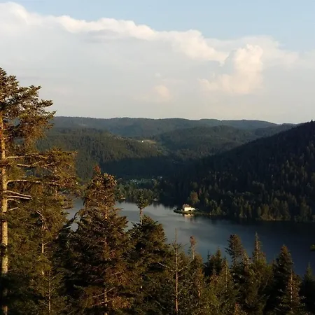 Les 3 Chênes à 2 Pas De Gerardmer Et Des Lacs Villa