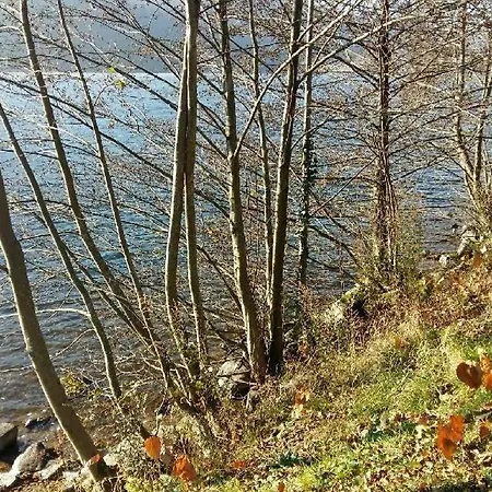 Les 3 Chênes à 2 Pas De Gerardmer Et Des Lacs *
