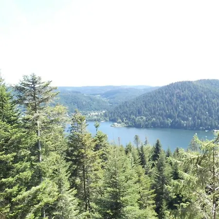 Villa Les 3 Chênes à 2 Pas De Gerardmer Et Des Lacs