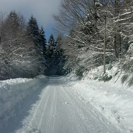 Les 3 Chênes à 2 Pas De Gerardmer Et Des Lacs