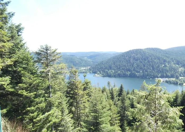 Vila Les 3 Chenes A 2 Pas De Gerardmer Et Des Lacs *