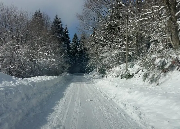 Les 3 Chenes A 2 Pas De Gerardmer Et Des Lacs