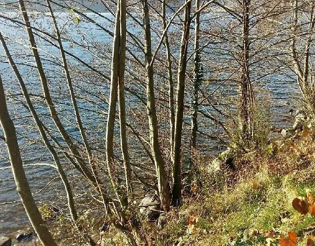 Les 3 Chenes A 2 Pas De Gerardmer Et Des Lacs Vila *