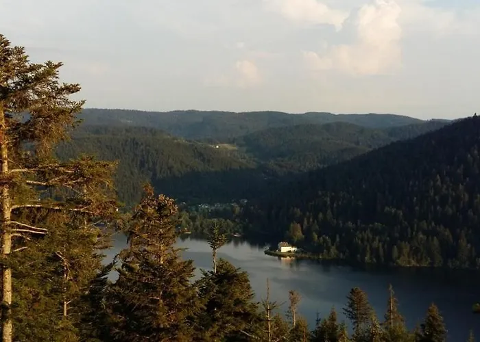 Les 3 Chenes A 2 Pas De Gerardmer Et Des Lacs Vila Xonrupt-Longemer