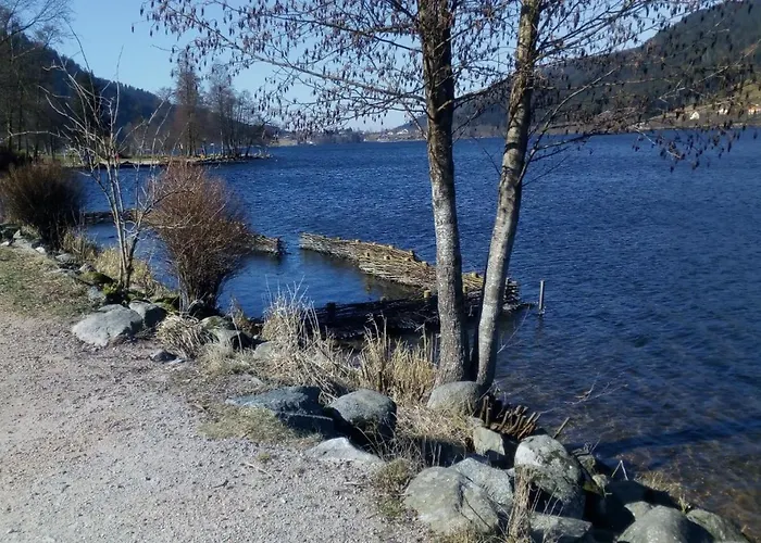 Les 3 Chenes A 2 Pas De Gerardmer Et Des Lacs Vila *